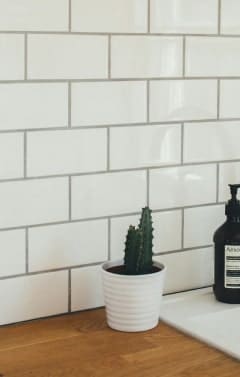 A small potted cactus and a black bottle of "AESOP" soap sit on a wooden counter with white subway tiles.