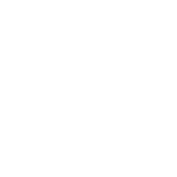 A completely blank white image with no discernible features, objects, or text.