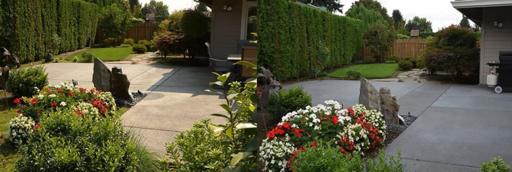 A wide-angle view of a landscaped backyard with a concrete driveway, flower beds, and tall green hedges.