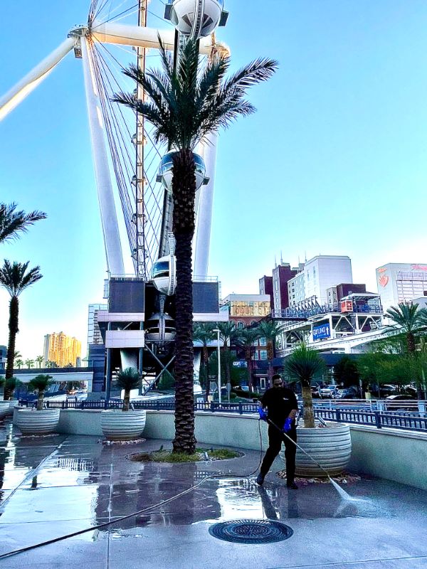 image_50406401 A person in black uses a pressure washer on a wet sidewalk with palm trees and a large Ferris wheel.