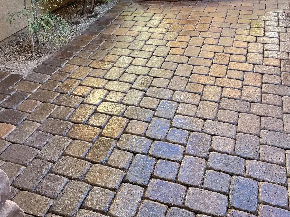 Cleaned and sealed pavers